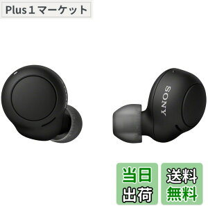 �y���������z�\�j�[(SONY) ���S���C�����X�C���z�� WF-C500 : /�y�ʏ��^5.4g/�����x�ʘb�i��/�ȒP�y�A�����O/IPX4�h�H���\/�u���b�N WF-C500 BZ