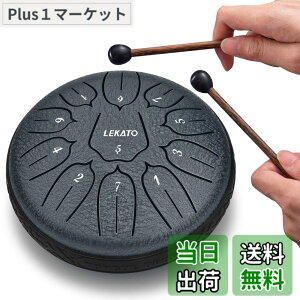 �y���������z�X���b�g�h���� �X�`�[���^���O�h���� LEKATO �����h���� 11�� 6�C���` �Ŋy�� �}���b�g ���[�o�b�O�t�� �ґz ���K �T (�l�C�r�[�u���[)