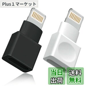 �y���������z���C�g�j���O�����P�[�u�� �A�_�v�^�[ 2�_�p�b�N Apple(�A�b�v��) MFI�F�� iPhone�[�d�� �����P�[�u�� �I�X�^-���X�^ �h�b�N �G�N�X�e���_�[ iPhone 13 12 11 X XS XR 8 7 6 5 iPad�Ή� �I�[�f