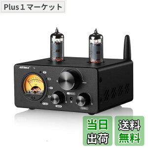 �y���������zAIYIMA T9 Bluetooth 5.0 100W*2�`���[�u�A���v 2.0�`�����l�� �^��� USB DAC�X�e���IHiFi�z�[���I�[�f�B�I�f�W�^���A���v RCA/COA/Opt/PC-USB�AVU���[�^�t��