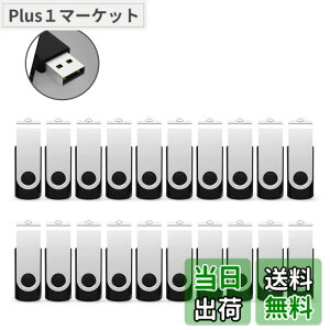 �y���������zRAOYI USB������ 32GB USB 2.0 20�Z�b�g �t���b�V���h���C�u ��]�� �܂Ƃߔ��� �Ɩ��p �������X�e�B�b�N �≮ �X�g���b�v�z�[���t�� �i���j