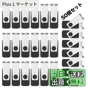 �y���������zRAOYI USB������ 8GB USB 2.0 50�Z�b�g �t���b�V���h���C�u ��]�� �܂Ƃߔ��� �Ɩ��p �������X�e�B�b�N �≮ �X�g���b�v�z�[���t�� �i���j