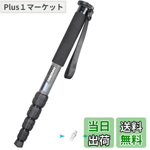 �y���������zINNOREL ��r �J�����p �J�[�{���� 22lbs/10kg�ω׏d 5�Z�N�V�����L�k�\ �R���p�N�g �֗� �y�� ���s�p�iRM285C�j