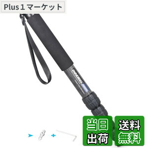 �y���������zINNOREL ��r �J�����p �J�[�{���� 26lb/12kg�ω׏d 5�Z�N�V�����L�k�\ �R���p�N�g �֗� �y�� ���s�p�iRM325C�j