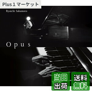 �y���������zOpus(AL2���g) - ��{����