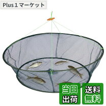 楽天市場】投網 小魚（スポーツ・アウトドア）の通販
