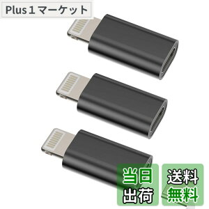 �y���������z���C�g�j���O �ϊ��A�_�v�^�[ (3�Z�b�g)USB C �^�C�vc ���X �� Lightning USB �I�X �[�d�� �v���O �A�b�v�� Typec �R�l�N�^ Thunderbolt 4 ������c �P�[�u�� �����ӂ��� �����Ղ��[ �Ή�Apple