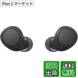 �y���������z�\�j�[(SONY) ���S���C�����X�C���z�� WF-C500/WF-C510 :/�����x�ʘb�i��/IPX4�h�H���\ �F�F�u���b�N�A�T�C�Y�F���^�y��