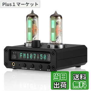 �y���������zNobsound P2-FM 6E2 �^��� �v���A���v �X�e���I �w�b�h�z���A���v �T�E���h���x���C���W�P�[�^�[ FM���W�I ���v clock �N���b�N MIC/AUX �u�����v �F�F�u���b�N�A�T�C�Y�FMINI