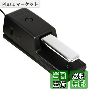 �y���������zRoland ���[�����h �_���p�[�y�_�� DP-10 �n�[�t�_���p�[�Ή� 2.2m�P�[�u�� �d�q�s�A�m �f�W�^���s�A�m �L�[�{�[�h �F�F�u���b�N