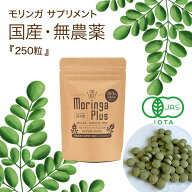 ＼複数買いでお得!／モリンガ サプリ 国産 楽天1位 250粒 無農薬 小粒 沖縄県産 25g オーガニック 有機JA…