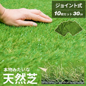 _N[|zz^ 10Zbg lH WCg pl A 30×30  }bg  x_ eX lHŐ WCg}bg AlH K[fjO St Ή Ő}bg t