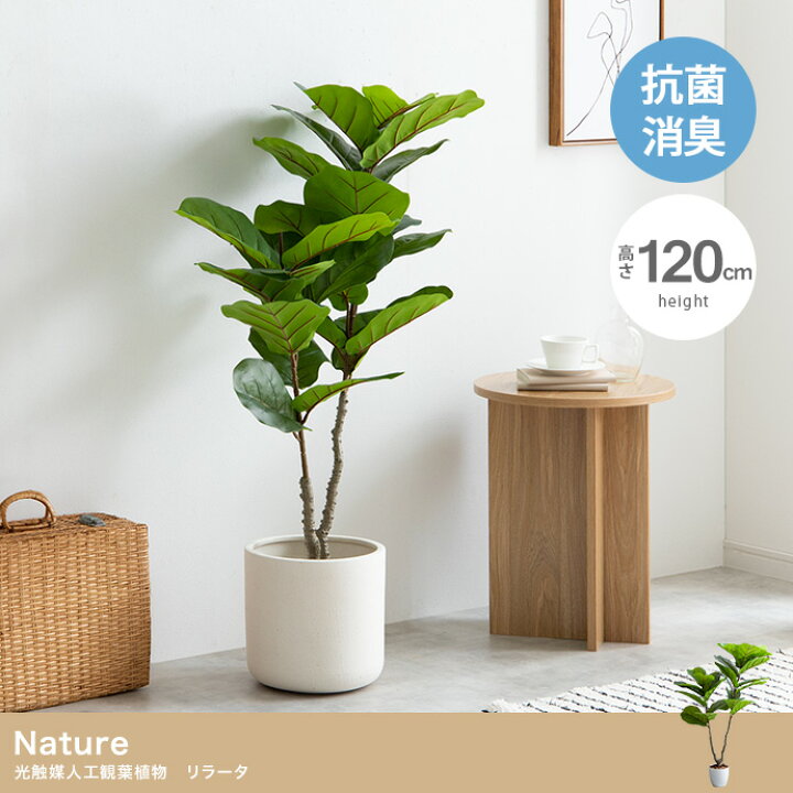 楽天市場】＼クーポン配布中／ フェイクグリーン 観葉植物 フェイク  