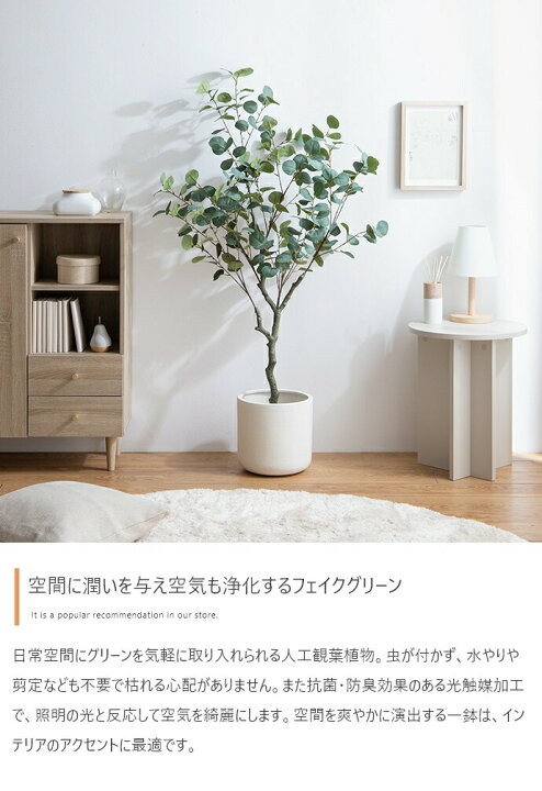 楽天市場】＼クーポン配布中／ フェイクグリーン 観葉植物 フェイク 