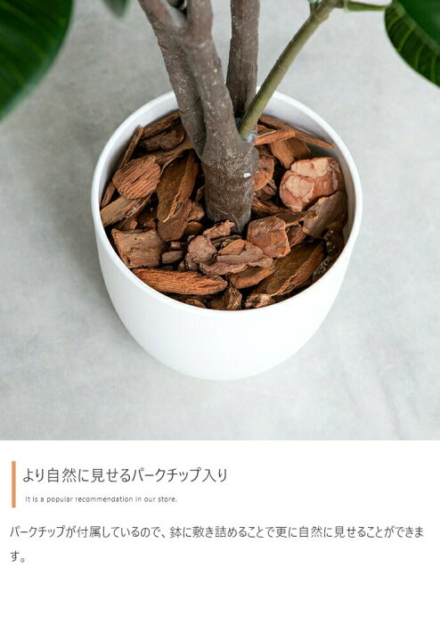 楽天市場】＼クーポン配布中／ フェイクグリーン 観葉植物 フェイク  