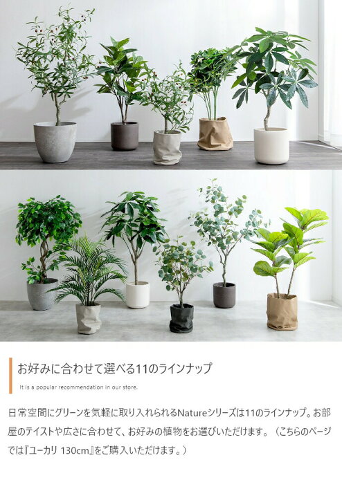 楽天市場】＼クーポン配布中／ フェイクグリーン 観葉植物 フェイク 