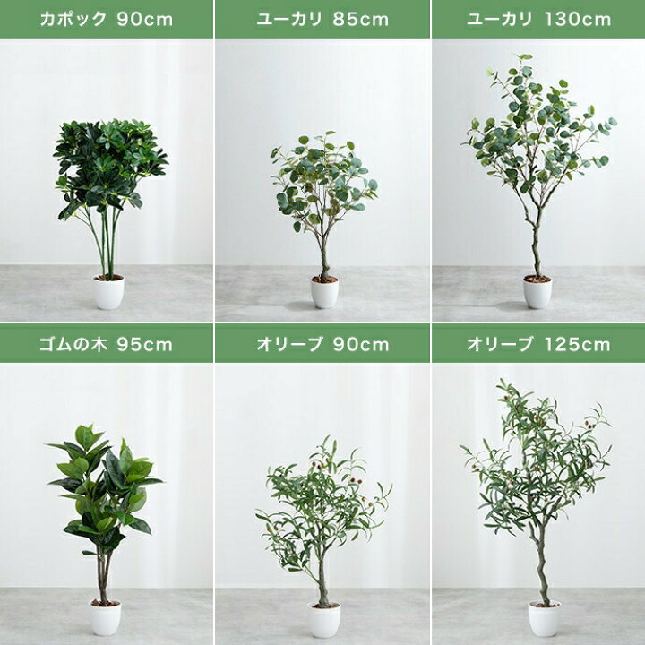 楽天市場】＼クーポン配布中／ フェイクグリーン 観葉植物 フェイク 