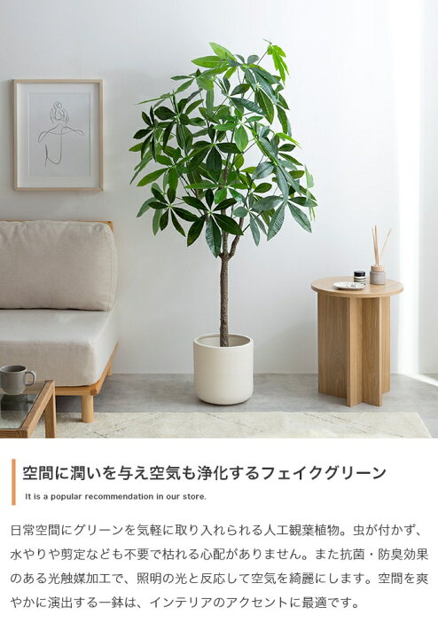 楽天市場】＼クーポン配布中／ パキラ 観葉植物 人工 フェイクグリーン 