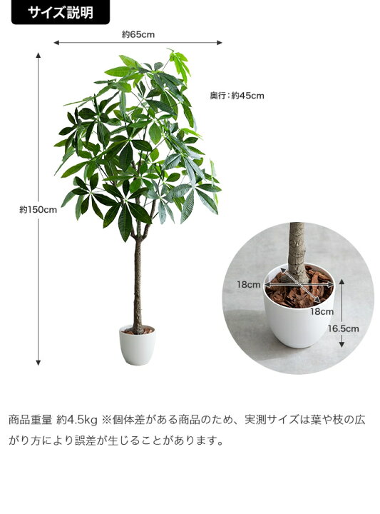 楽天市場】＼クーポン配布中／ パキラ 観葉植物 人工 フェイクグリーン 