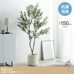 _N[|zz^ i` ϗtA I[u tFCNO[ lH  rO ItBX l炵  G} C L R h zAfqh 150cm  