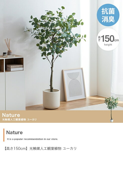 楽天市場】【3月25日限定】エントリーでポイント10倍！フェイク 