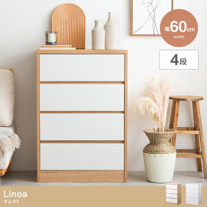 _N[|zz^ `FXg ~j`FXg 60cm [ oCJ[[Ƌ Еt RpNg AeB[N Be[W ACA VR ؍ o 4t 4i X _  r