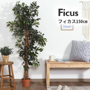 ϗtA tBJX 690 A tFCNO[ A  O[  A CeA K[fjO  K[f JtF rO v^[ Mtg v[g 蕨 ItBX  