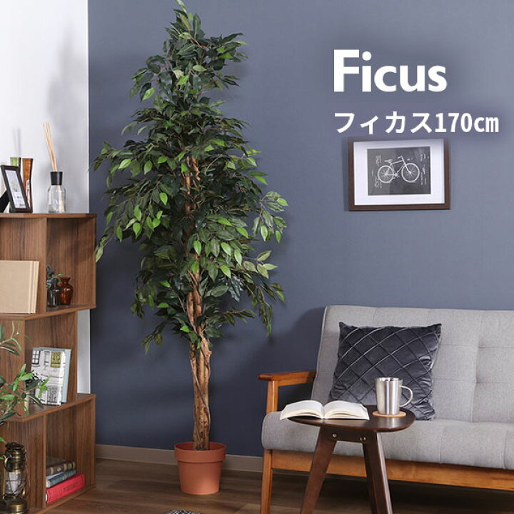 楽天市場】観葉植物 フィカス 1124 A フェイクグリーン 植物 緑 