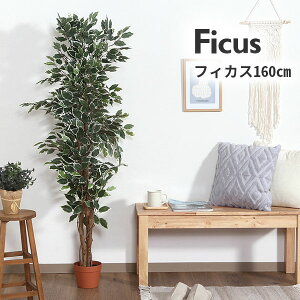 ϗtA htJmL 216 tFCNO[ A  O[  A CeA K[fjO  K[f JtF rO v^[ Mtg v[g 蕨 ItBX 