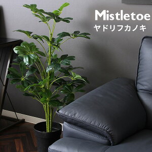 ϗtA tBJX 690 A tFCNO[ A  O[  A CeA K[fjO  K[f JtF rO v^[ Mtg v[g 蕨 ItBX  