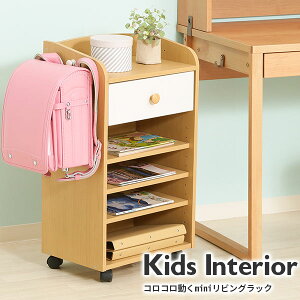 ~jrObN tbNLX^[t NORM(m[) 42cm X bN hZbN Vv q rO [ {I WjA j̎q ̎q qp ؐ i` z