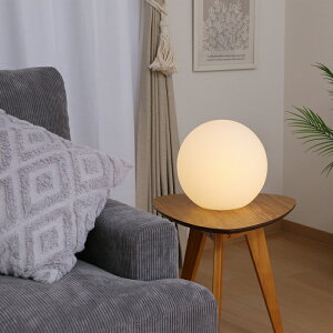 3 20~ő唼z{[^v BL-25-LED LEDv LEDdΉ TCYE26 tAv tbgv {[v Ɩ xbhv ֐ߏƖ e[uv 250mm s250mm 25