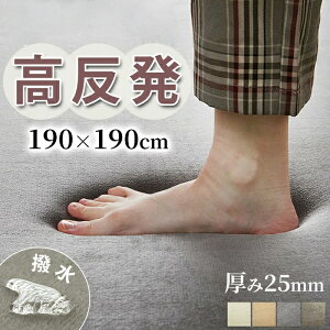 ͂ 190×190cm O O}bg ͂ J[ybg ւɂ  Ɍ I[V[Y OJ[ybg }bg O~ ybg  傫 ` ` k IV ӂӂ 