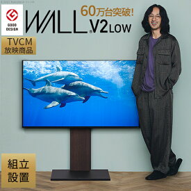 組立設置付き グッドデザイン賞受賞 テレビ台 WALLインテリアテレビスタンドV2 ロータイプ 32~60v対応 壁寄せテレビ台 テレビボード TVスタンド 背面収納 コード収納 ホワイト 白 ブラック 黒 ウォールナット ブラウン 震度7耐震試験済み EQUALS イコールズ