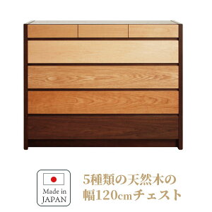 3 20~ő唼z4i `FXg ߗގ[ Of[V 5F 60cm h h Cɋ i VR k i` EH[ibg Lb` rO q 킢 `FXg 