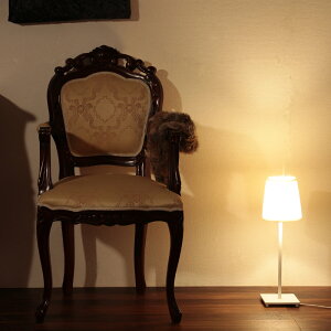 3 20~ő唼z`FA `FA[ _CjO`FA[ `FA[  CX ֎q lRr Lr AeB[N GKg   OWA[ Be[W Vv`FA I