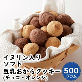 イヌリン 入り ソフト豆乳おからクッキー 500g 2種 チョコ オレンジ イヌリン 菊芋 焼菓子 洋菓子 おやつ ソフト食感 チョコレート 大容量 お徳用 食物繊維 スイーツ デザート 間食 お菓子 お茶請け 満腹感 置き換え 豆乳 おから 国内製造 スーパーフード 業務用 送料無料