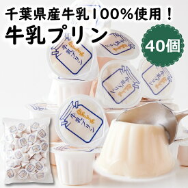 ひとくち 牛乳プリン 40個 千葉県産 濃厚 乳製品 大容量 個包装 お徳用 業務用 簡易包装 デザート おやつ 洋生菓子 常温保存 牛乳ぷりん お菓子 間食 プチ 一口サイズ お取り寄せ プリン ミルクプリン 保存食 送料無料 イベント 文化祭 自分用 自宅用 甘味