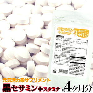 ZT~ { X^~i Tv 4 120 Xb| cȏGLX }J ZT~ Tvg [ 