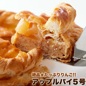 アップルパイ 5号 直径14cm～15cm 絶品 長野県産 りんご 林檎 果物 ウエットタイプ ソフトアップルパイ 冷凍 パイ ケーキ ホールケーキ お祝い パーティー クリスマス 誕生日 バースデー プレゼント お取り寄せ ホームパーティー バレンタイン ホワイトデー 送料無料