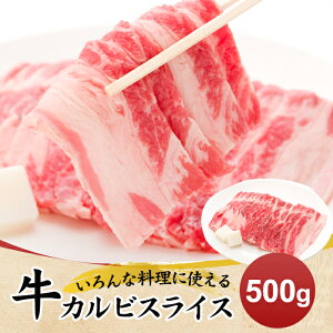 Jr XCX 500g 2mmJbg Ԑg  EV o  ē Ⴊ ϕ uߕ LJj`  S r^~ ^pN y  ` H ӌ ̓ ̓ Ε 