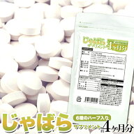 じゃばら 柑橘系 サプリメント 約4ヵ月分 120粒 6種の 天然ハーブ 花粉 ナリルチン サプリ 即納 送料無料