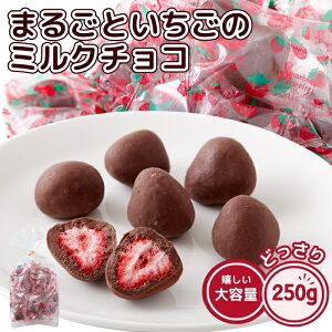 まるごといちごの ミルクチョコ 250g 約25個 濃厚 チョコレート イチゴ ストロベリー フリーズドライ 個包装 送料無料 プチギフト ハロウィン バレンタインデー ホワイトデー スイーツ お徳用