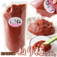 練り梅 500g 紀州 南高梅 使用 大容量 お徳用 業務用 チューブ 梅肉 調味料 国産梅 塩分約9% 送料無料