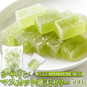 yr[Tt zVC}XJbgV[[ 500g 쌧Y  VH  u₩ ЂƂ[[ hCu VFA  َq t[c [[ p e