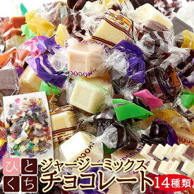 お徳用 ひとくち チョコレート 300g ジャージー牛乳 14種類 ミックスチョコ 個包装 おやつ スイーツ バレンタイン お礼 義理チョコ 送料無料 プチギフト ハロウィン