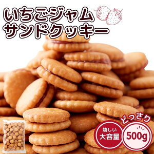 WThNbL[ 500g ǂ َq p e  ʉَq  NbL[ XC[c 