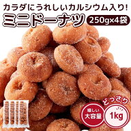 ミニ ドーナツ 1kg 250g×4袋セット 一口サイズ 駄菓子 大容量 業務用 スイーツ 送料無料