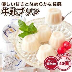 ЂƂ v 40 tY Z i e  p Ɩp ȈՕ fU[g  mَq 퉷ۑ Ղ َq ԐH v` TCY ~Nv  