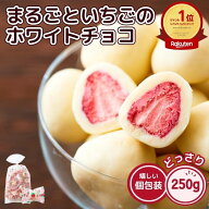 まるごといちごの ホワイトチョコ 250g 約25個 大人買い フリーズドライ いちご イチゴ バレンタインデー…